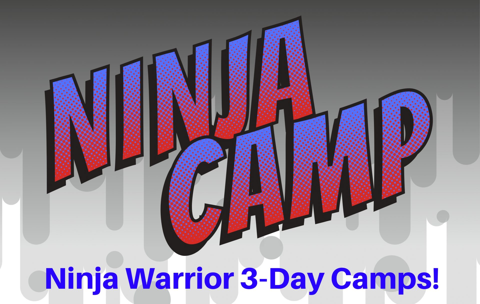 Ninja Camp Fortified Fitness
